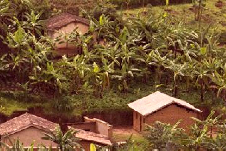 Sage, 23 — Escort in Nyabitekeli, Rwanda
