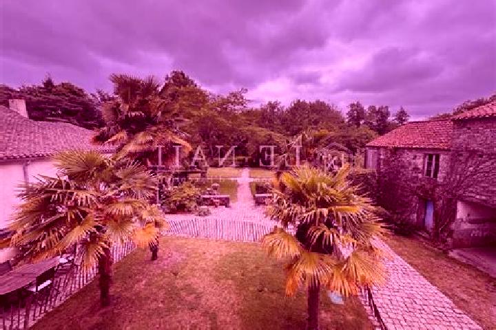 Sage, 23 — Escort in Palluau, France