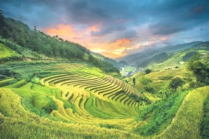 Sage, 24 — Escort in A Yun Pa, Vietnam