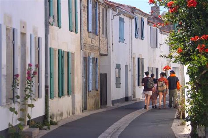 Sage, 24 — Escort in Ars-en-Re, France