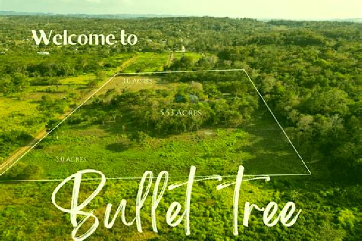 Sage, 24 — Escort in Bullet Tree Falls, Belize