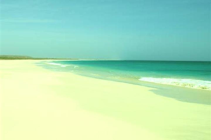 Sage, 24 — Escort in Ponta da Achada, Cape Verde