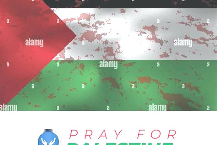 Sage, 24 — Escort in Shufah, Palestine