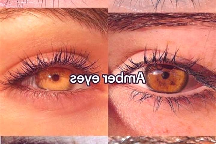 Sage, 25, a chestnut amber-eyed mixed companion based in Yan Nawa. Offering Overnight, Travel Companion. Available for incall and outcall, day and evening da...