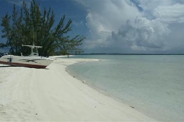 Sage, 25 — Escort in Andros Town, Bahamas