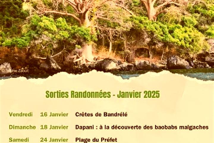 Sage, 25 — Escort in Bandrele, Mayotte