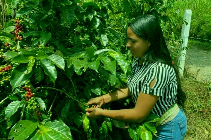Sage, 25 — Escort in Chitaraque, Colombia