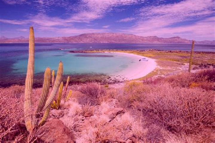 Sage, 25 — Escort in El Loreto Occidental, Mexico