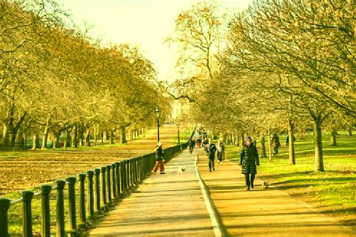 Sage, 25 — Escort in Hyde Park, Australia