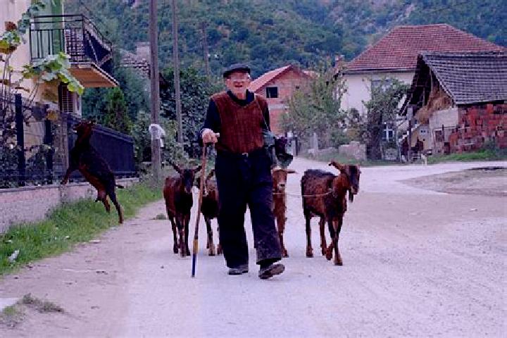 Sage, 25 — Escort in Kuklis, North Macedonia