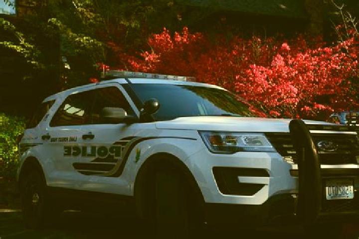 Sage, 25 — Escort in Lake Forest Park, United States