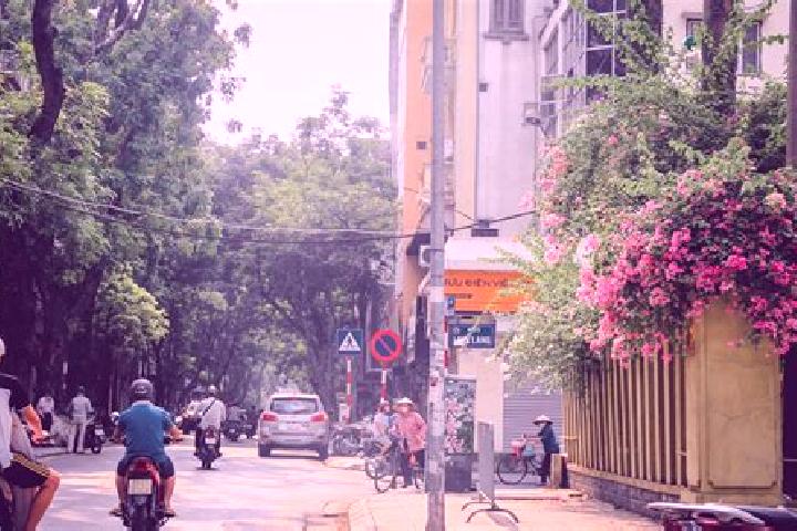 Sage, 25 — Escort in Ma Cooi, Vietnam