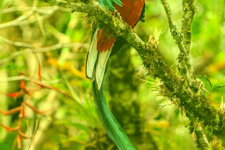 Sage, 25 — Escort in Quetzal Edzna, Mexico