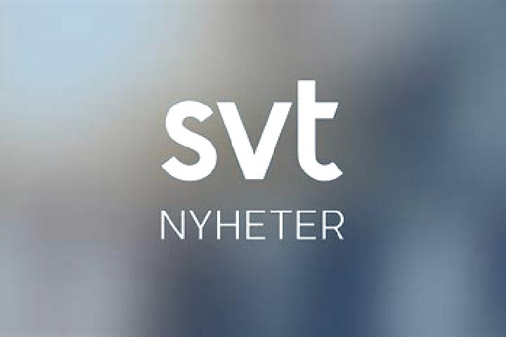 Sage, 25 — Escort in Vallentuna, Sweden