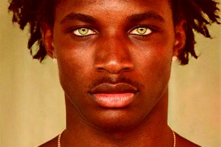 Sage, 26, a black green-eyed ebony companion based in Goodman. Offering Girlfriend Experience, GFE, Couples, A-Level. Available for incall and outcall, overn...