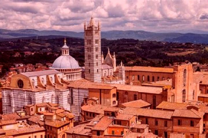 Sage, 26 — Escort in Siena, Italy