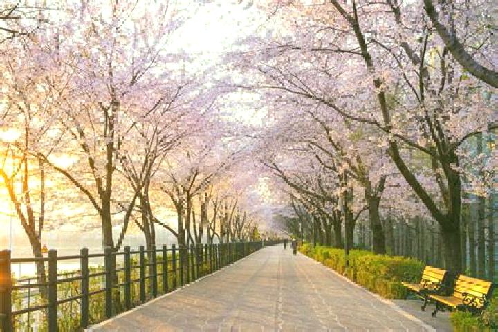Sage, 27 — Escort in Deokjin, South Korea
