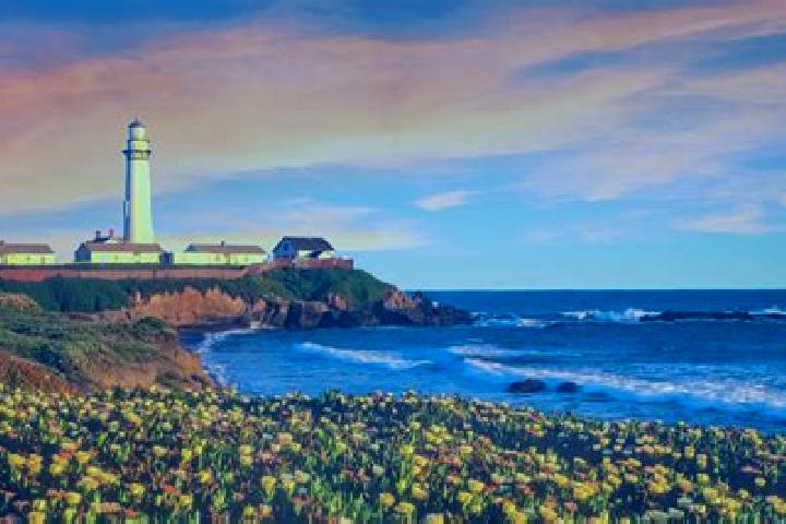 Sage, 27 — Escort in Pescadero, United States