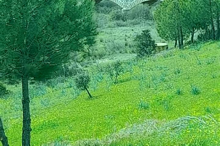 Sage, 27 — Escort in Valdemanco del Esteras, Spain