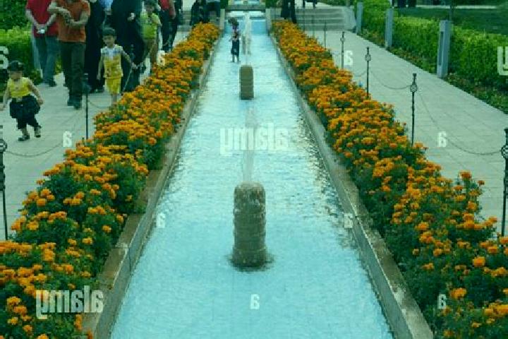 Sage, 28 — Escort in Bagh-e Behzad, Iran