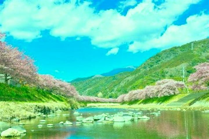 Sage, 28 — Escort in Kawazu-ikadaba, Japan