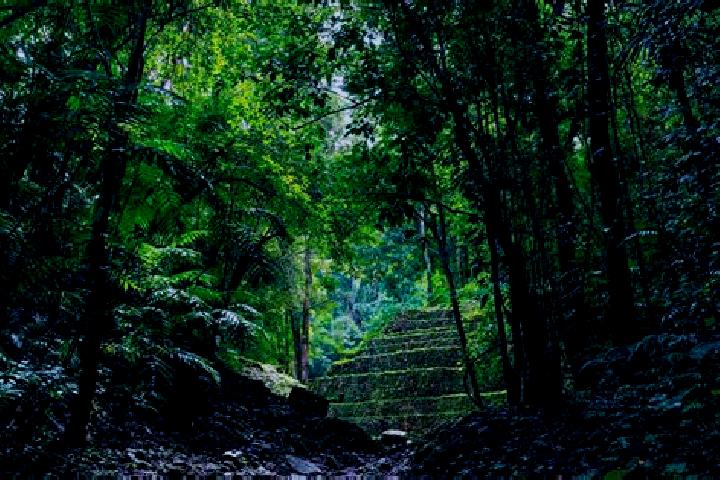 Sage, 28 — Escort in La Selva, Mexico