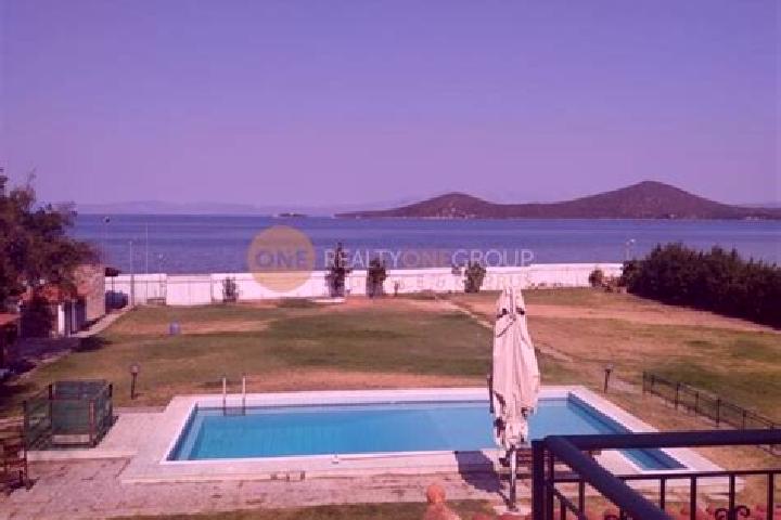 Sage, 28 — Escort in Livanates, Greece