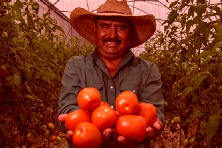 Sage, 29 — Escort in Agronomos Mexicanos, Mexico