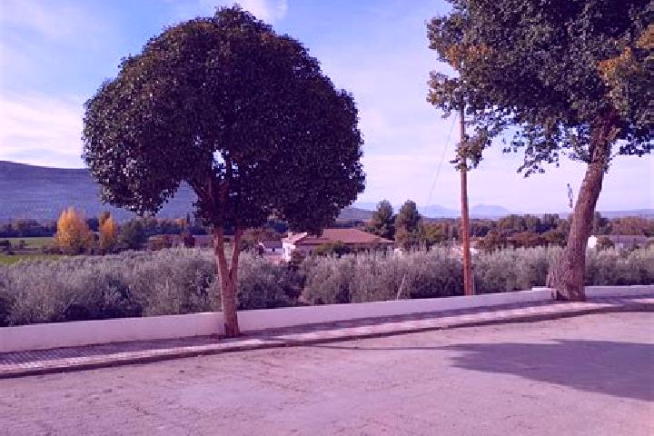 Sage, 29 — Escort in Caleruela, Spain
