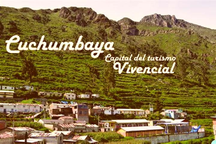 Sage, 29 — Escort in Cuchumbaya, Peru