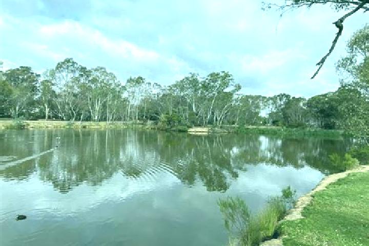 Sage, 29 — Escort in Kangaroo Flat, Australia