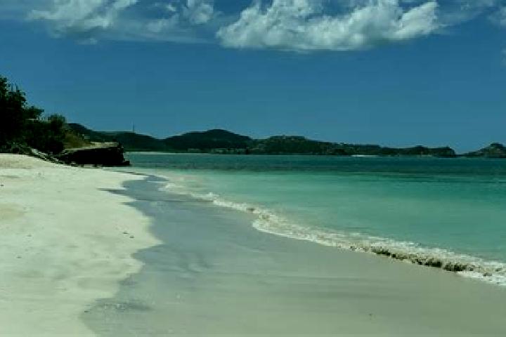 Sage, 29 — Escort in New Winthorpes, Antigua and Barbuda
