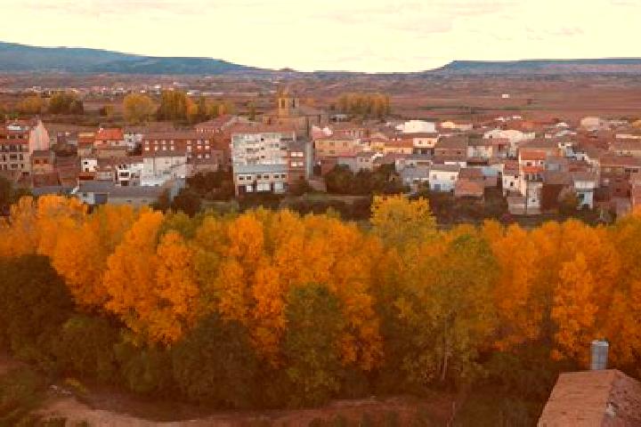 Sage, 29 — Escort in Urunuela, Spain