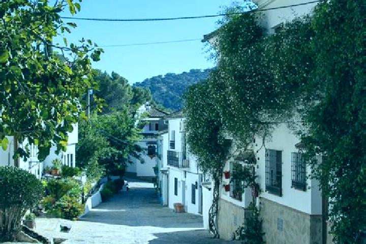 Sage, 30 — Escort in Montecorto, Spain