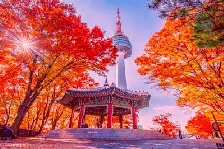 Sage, 30 — Escort in Namsan, North Korea