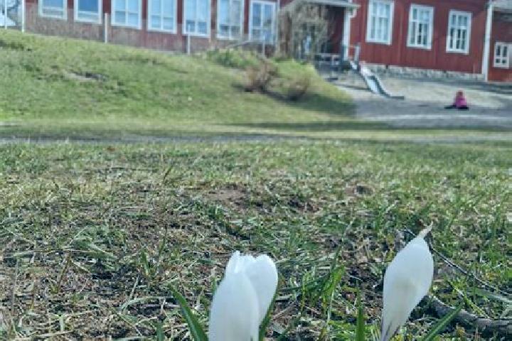 Sage, 30 — Escort in Punkalaidun, Finland