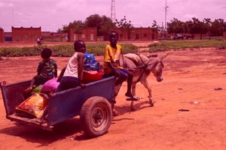 Sage, 30 — Escort in Torodi, Niger