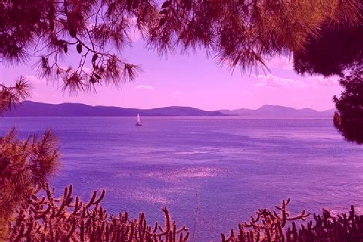 Sage, 31 — Escort in Gallos, Greece