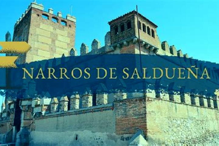 Sage, 31 — Escort in Narros de Salduena, Spain