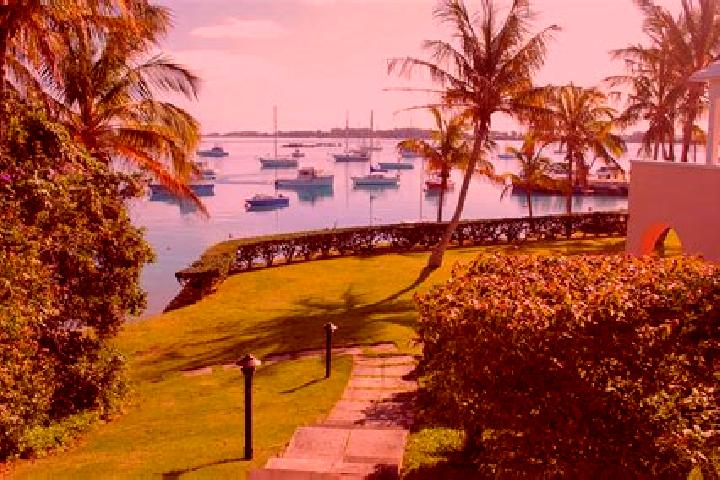 Sage, 31 — Escort in Paget Parish, Bermuda