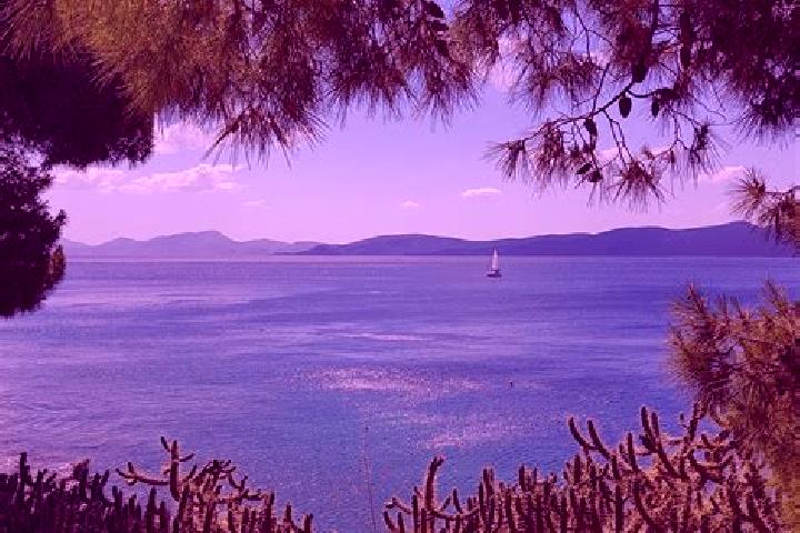 Sage, 31 — Escort in Xinias, Greece