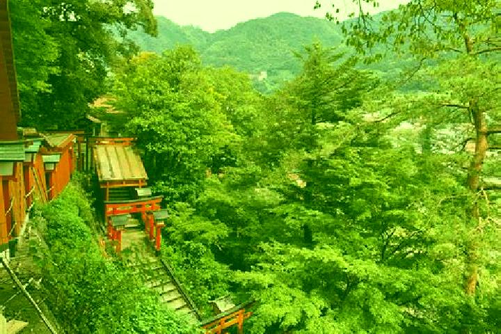 Sage, 31 — Escort in Yakumo, Japan