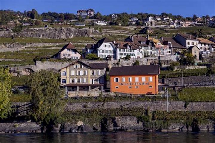 Sage, 32, a auburn brown-eyed indian companion based in Abu Qurqas. Offering Party Girl, Deep French Kissing, Dinner Date, 69. Available for incall and outca...
