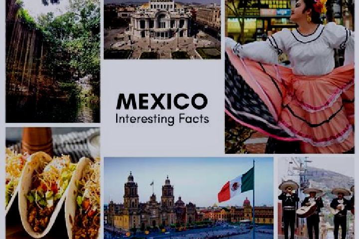 Sage, 32 — Escort in Janos, Mexico