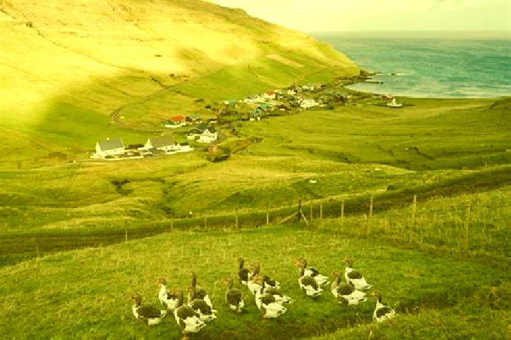 Sage, 33 — Escort in Argir, Faroe Islands