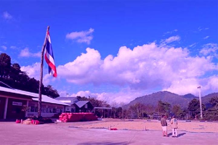 Sage, 34 — Escort in Mae Suai, Thailand