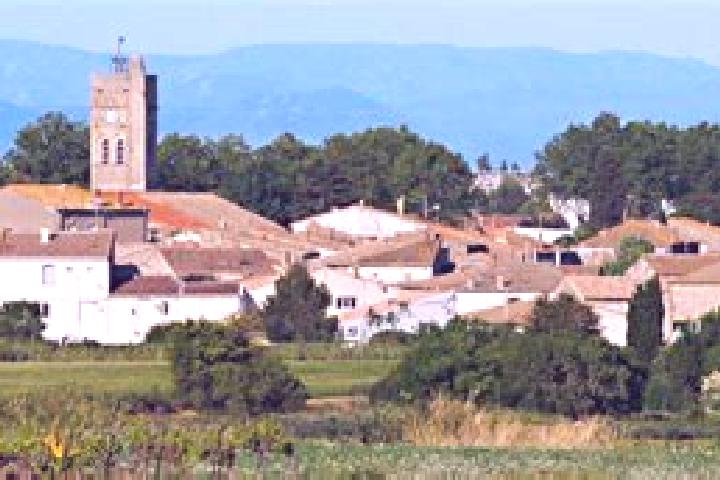 Sage, 34 — Escort in Pomerols, France