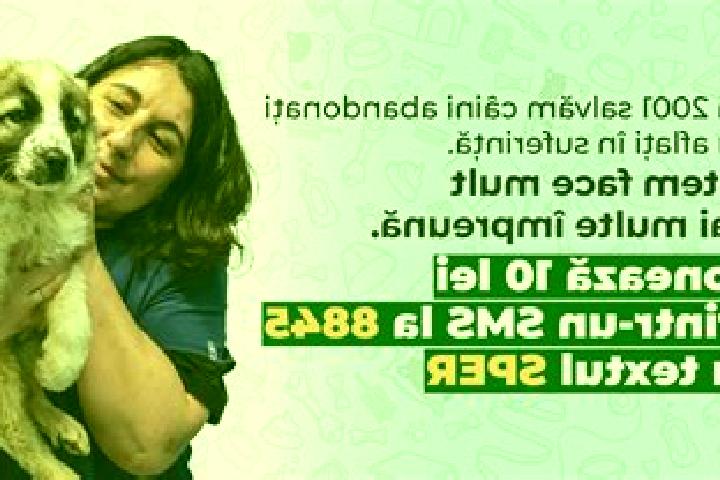 Sage, 34 — Escort in Stulpicani, Romania