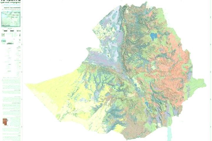 Sage, 35 — Escort in Dejen, Ethiopia