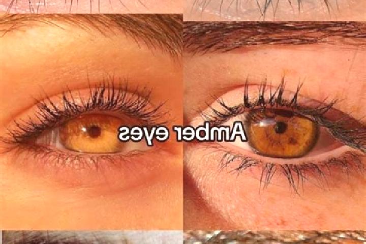 Sage, 36, a brunette amber-eyed middle eastern companion based in San Juan Diuxi. Offering OWO, 69, GFE, Roleplay. Available for incall and outcall, overnigh...